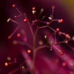 3D开奖结果109期历史前后号码走势全面分析 2ngmq