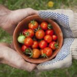 2014年香港开奖结果全程回顾与精彩瞬间 4f4m4