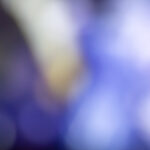 3d开奖结果2025212期最新精准开奖号码公布 56axudi