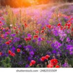 2014087期双色球开奖号码及中奖详情公布 9hy9pohi