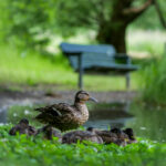 2014世界杯激情直播间:巅峰对决全程热力放送 g7tr4c7a