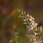 3d开奖第291期最新开奖结果与号码走势全面分析 hfiwa