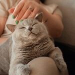 2014年欧洲杯足球赛全程高清直播精彩赛事不容错过 p9aw0