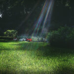 2014央视直播盛典:见证国家荣耀时刻 qj7la3