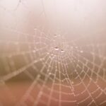 3d开奖结果19156期最新开奖号码及中奖详情公布 vu6i9